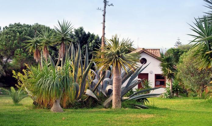 Bungalow Agavehaus Los Canos De Meca Room photo